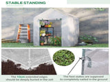 Mini Greenhouse 83895868