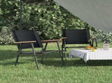 Camping Chair Set of 2 Black 319485