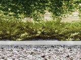 Lawn Edging Silver 450 x 0.05 x 10 cm Stainless Steel 868016