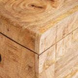 Storage Box with Storage with Door Brown Solid Mango Wood 4104569