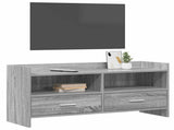 TV Cabinet 100 x 33 x 47 cm Grey Sonoma Engineered Wood 8011160