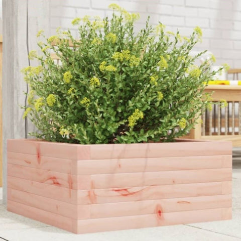 ZNTS Garden Planter 50x50x23 cm Solid Wood Douglas 847186