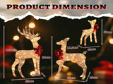 3-Piece Lighted Christmas Reindeer Set Outdoor Decorations, Weather Proof Sparkling Deer 82158509
