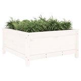 Garden Planter White 82.5x82.5x39 cm Solid Wood Pine 825297