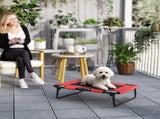 Dog House 54636887