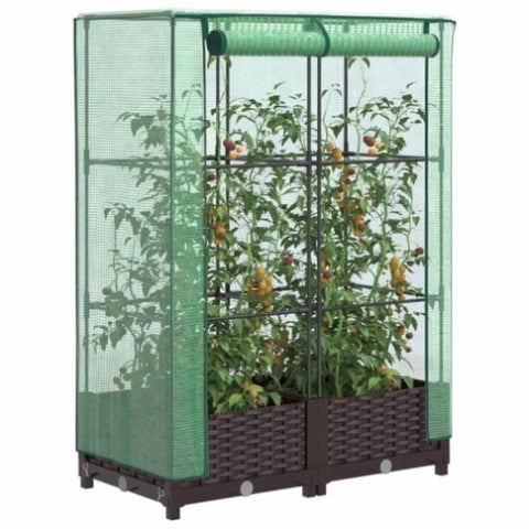 ZNTS Raised Bed with Greenhouse Cover Rattan Look 80x40x123 cm 4015796