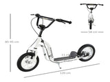 Dual Brakes 12" Metal frame Kick Scooter adjustable black T3398P422456