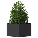 ZNTS Garden Planter Black Hexagon 104x90x45 cm Steel 851129