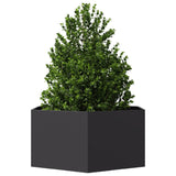 ZNTS Garden Planter Black Hexagon 104x90x45 cm Steel 851129