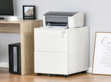 Metal Mobile File Cabinet with Wheels, Lockable 2 Drawer Filing Cabinet for A4, Legal, Letter, T3398P342412