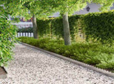 Lawn Edging 20 pcs 103 x 15 cm Steel Silver 8008661