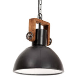Industrial Hanging Lamp 25 W Black Round 30 cm E27 320536