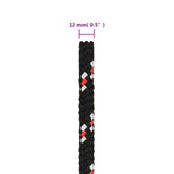 Boat Rope Black 12 mm 100 m Polypropylene 152354