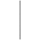 Wall Mirror Black 50x100 cm Rectangle Iron 358649