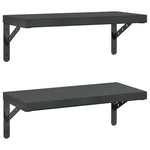 Wall Shelves 2 pcs 50x23.5 cm Black Stainless Steel 3214519