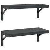 Wall Shelves 2 pcs 50x23.5 cm Black Stainless Steel 3214519