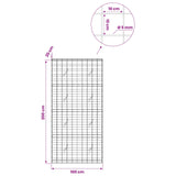 Gabion with 5 mm Wire and 10x10 cm Mesh 100x20x200 cm 3465068