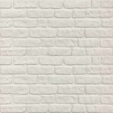 Wall Panels 10 pcs White 100 x 50 cm EPS Foam 332927