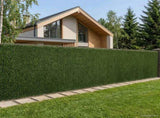 Artificial Fence Light Green 1 x 5 m PVC and Steel 42042374