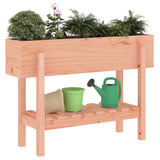 Garden Raised Bed 101x30x69 cm Solid Wood Douglas 825245