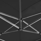 Professional Folding Party Tent with Walls Aluminium 6x3 m Anthracite 45508