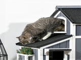 Cat House 40275527