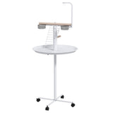 Bird Stand 39546561