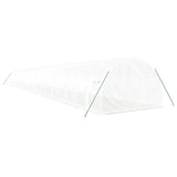 Greenhouse with Steel Frame White 66 m² 22x3x2 m 3188059