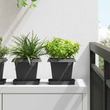 Plant Pots 24 pcs Black 16 x 16 x 14 cm Plastic 3403311