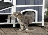 Cat House 40275527