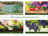 Walk-in Tunnel Greenhouse 55194468
