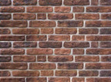 Wall Panels 10 pcs Brown Brick 100 x 50 cm EPS Foam 332923