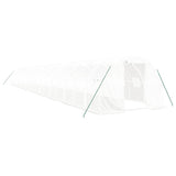 Greenhouse with Steel Frame White 60 m² 20x3x2 m 3188058