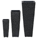 Raised Beds 3 pcs Water Hyacinth Black 45570