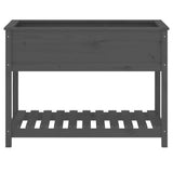 Planter with Shelf Grey 111.5x54x81 cm Solid Wood Pine 823789
