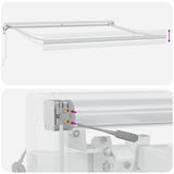Retractable Awning Manual Light grey 300 x 250 cm Fabric, Metal 3330100