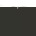 ZNTS Vertical Awning Anthracite 60x1000 cm Oxford Fabric 148204
