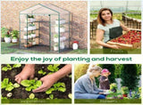 Walk in Greenhouse 69929389