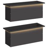 Garden Planter with LED 2 pcs Black 30 x 80 x 30 cm Steel 8008099