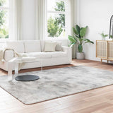 Shaggy Rug High Pile NAVARRA Silver Grey 200x290 cm Polyester 4102852