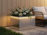 Garden Planter with LED Silver 30 x 40 x 30 cm Stainless Steel 8008078