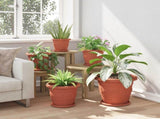 Plant Pots 6 pcs Brick Red 30 x 25 cm Plastic 3403272