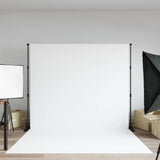 Backdrop Stand Black 254x243 cm Steel 190267