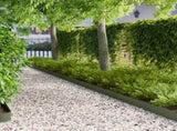 Lawn Edging 10 pcs 102 x 10 x 4 cm Steel Olive Green 8008751