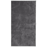 ZNTS Rug HUARTE Short Pile Soft and Washable Anthracite 80x150 cm 374995