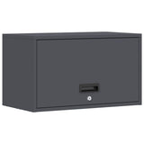 Wall Cabinet for Garage with Gas-lift Door Anthracite 883282