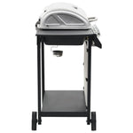 Gas BBQ Grill with 6 Cooking Zones Stainless Steel Silver 44286