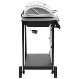 Gas BBQ Grill with 6 Cooking Zones Stainless Steel Silver 44286