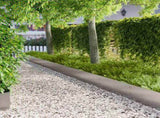 Lawn Edging 30 pcs 100 x 30 cm Steel Silver 8008637