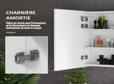 Bathroom Mirror Cabinet with Light, Bathroom Storage Cupboard with Adjustable Shelf, USB Powered, T3398P342287